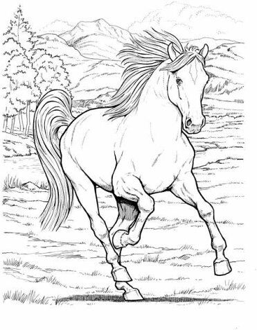 John Green - Wonderful World of Horses Coloring Book (Dover Coloring Books) (Dover Nature Coloring Book) - Preis vom 01.10.2026 08:16:52 h