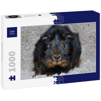 Lais Puzzle Meerschweinchen 1000 Teile