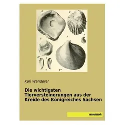 Die wichtigsten Tierversteinerungen aus der Kreide des Königreiches Sachsen, Fachbücher von Karl Wanderer