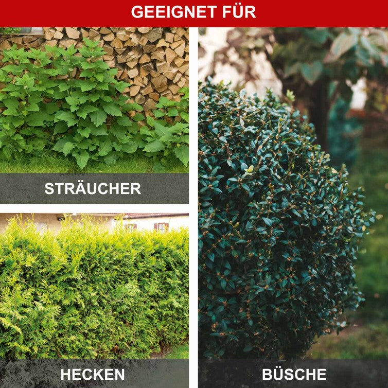 Scheppach ETHT500 Tagliasiepi elettrico orientabile 230V 500W lama 45 cm , asta fino a 2750 mm