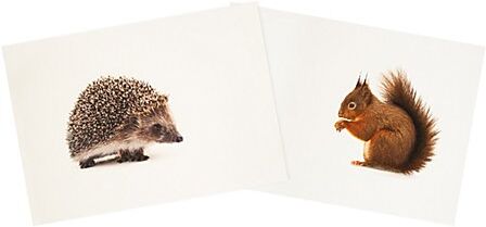 Canvas-Coupon "Herbsttiere", natur