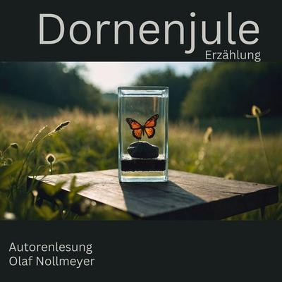 Dornenjule - Olaf Nollmeyer, Audio, 4067248698358