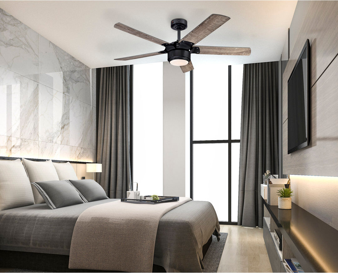 Borough Wharf Prochoros Ceiling Fan with LED Lights Black