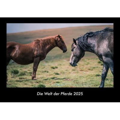 Die Welt der Pferde 2025 Fotokalender DIN A3