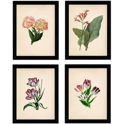 POSTER Set mit 4 botanischen Papier Tulpen Regenbogen A3 Rahmenlos
