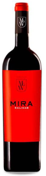 Sierra Salinas Mira Salinas 2017
