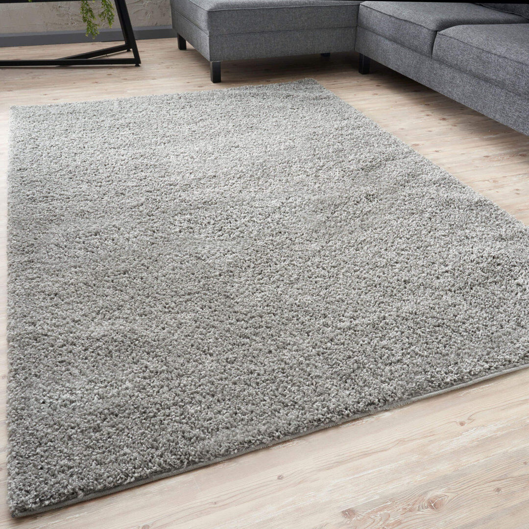 THE RUGS Myshaggy Collection Rugs Solid Design in Grey Grey Rectangle 240 x 340 cm
