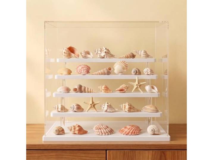 Rechteckige Transparente Acryl-Vitrine 30-70 Cm Als Standregal Transparente Staubschutzhaube Schwarz/Weiß, Fronttür, Stapelbar, Für Hochzeiten, Geburtstage, Weihnachten Und Partys