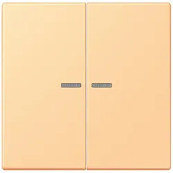 Jung Wippe mit Lichtleiter LC 102 KO5 258