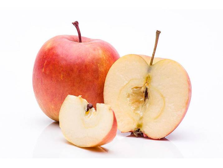 Säulenapfel Rhapsodie (Malus domestica) 140-180 cm inklusive Topf