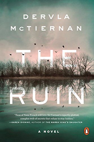 Dervla McTiernan - The Ruin: A Novel - Preis vom 30.09.2026 09:01:18 h
