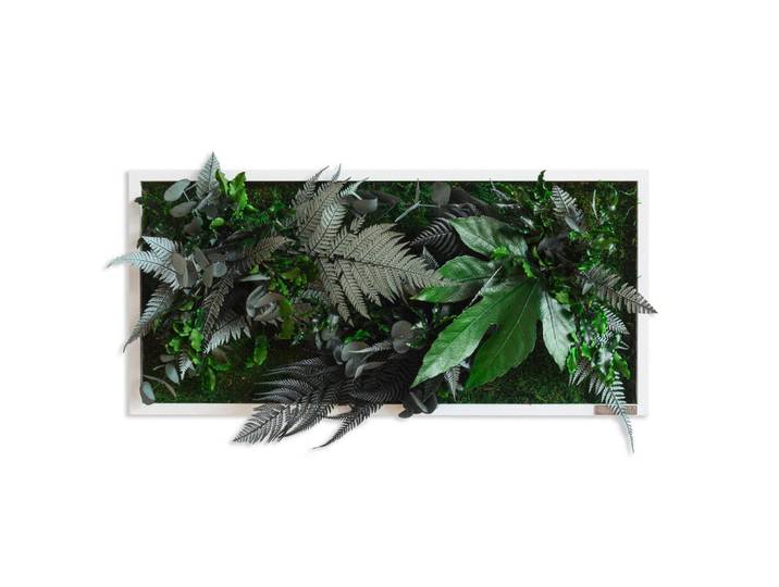 StyleGREEN Moosbild Stylegreen, Grün, Naturmaterialien, Eiche, Pflanzen, 57x27x15-17 cm, 3D-Effekt, einfache und schnelle Anbringung, pflegefrei – nicht gießen oder besprühen, keine Beleuchtung notwendig, Bilder & Rahmen, Moosbilder