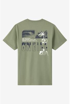 O'Neill s Cutback Classic T-Shirt in Sage, Size Large
