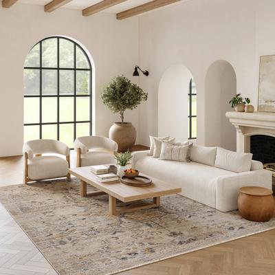 Nourison Nyle Vintage Persian Boho Area Rug