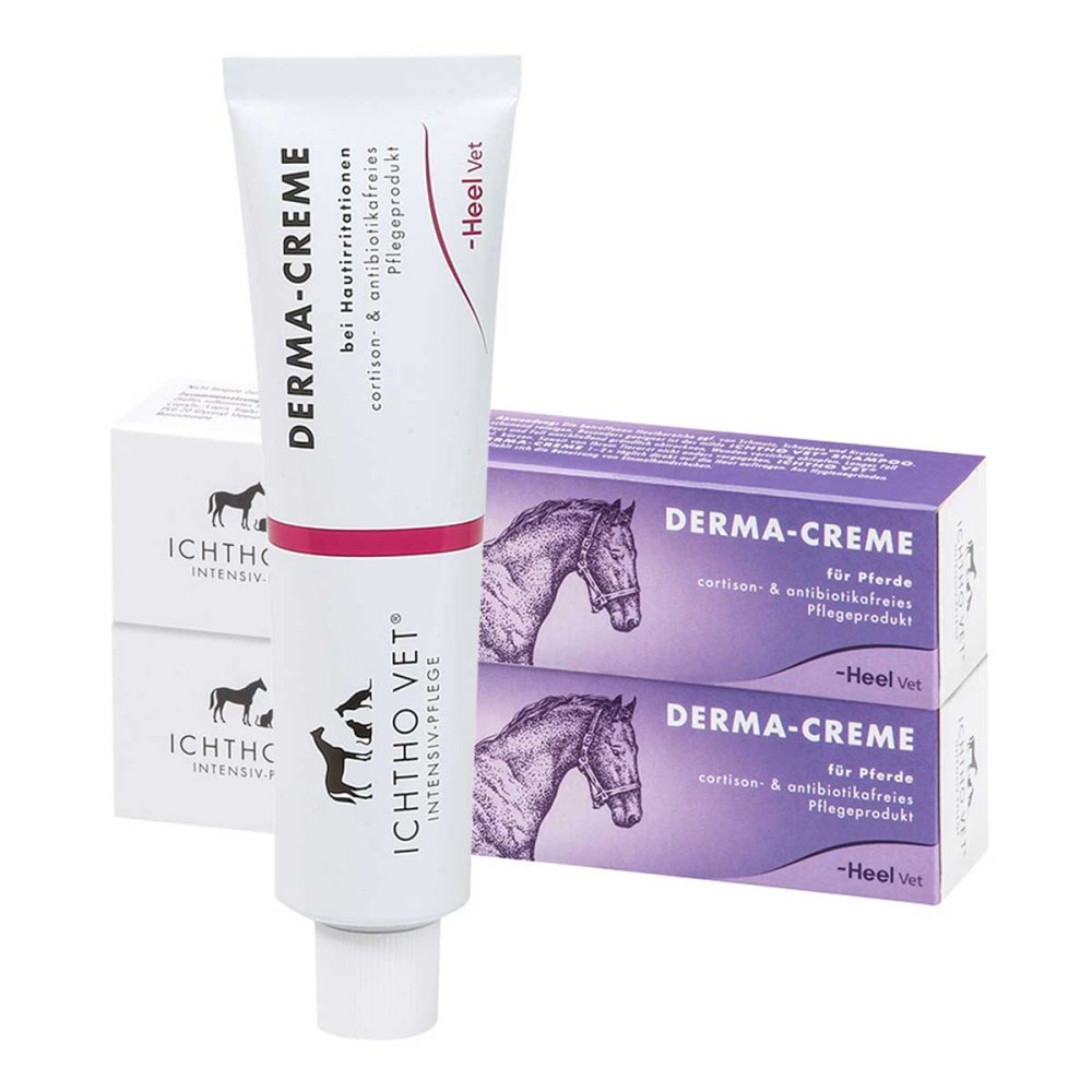 Biologische Heilmittel Heel GmbH Ichtho Vet Derma-Creme 11870164