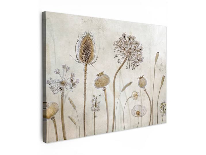 LEINWANDBILD Blumen - Aquarell - Stilleben - Braun - Vintage Wandbilder 80x60 cm
