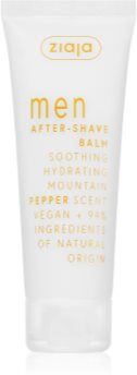 Ziaja Men bálsamo after shave apaziguador Mountain Pepper 80 ml. Men