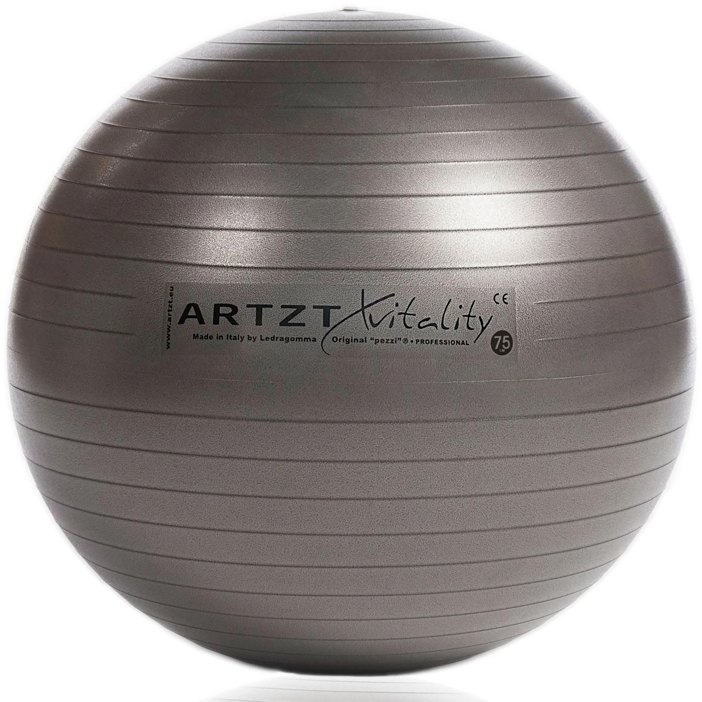 Artzt vitality Fitness-Ball Professional Trainingsgeräte grau Größe 55CM Training & Fitness