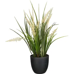 Kunstpflanze Gras im Topf (DH 11x40 cm) - grün - DH 11x40 cm