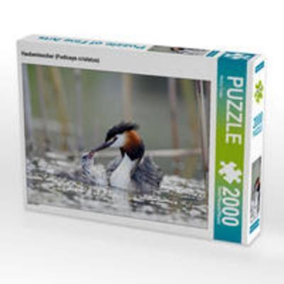 CALVENDO Puzzle Haubentaucher (Podiceps cristatus) 2000 Teile Puzzle quer | 2000 Teile Lege-Größe 90 × 67 cm Foto-Puzzle für glückliche Stunden