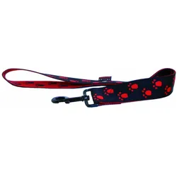 Martin Sellier Patte (Hund, Spazieren), Halsband + Leine