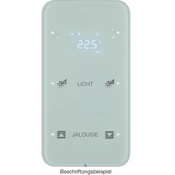 Berker 75642160 Touchsensor 2fach mit Temperaturregler R.1 Glas konfiguriert, polarweiß