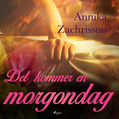 Det kommer en morgondag - Annika Zachrisson, Audio, 9788726162516