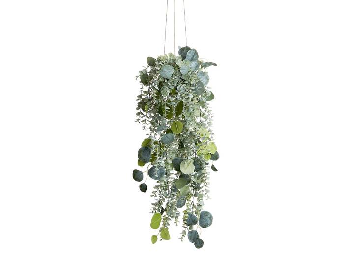Eucalyptus Mix plante suspendue 11 x 11 x 65cm