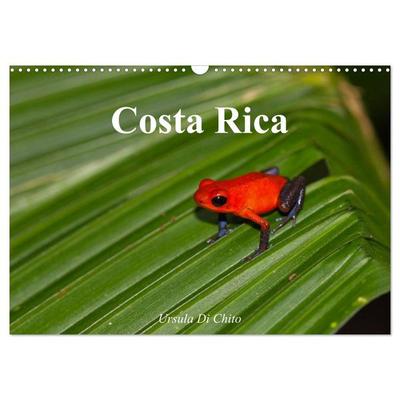 Costa Rica (Wandkalender 2026 DIN A3 quer), CALVENDO Monatskalender