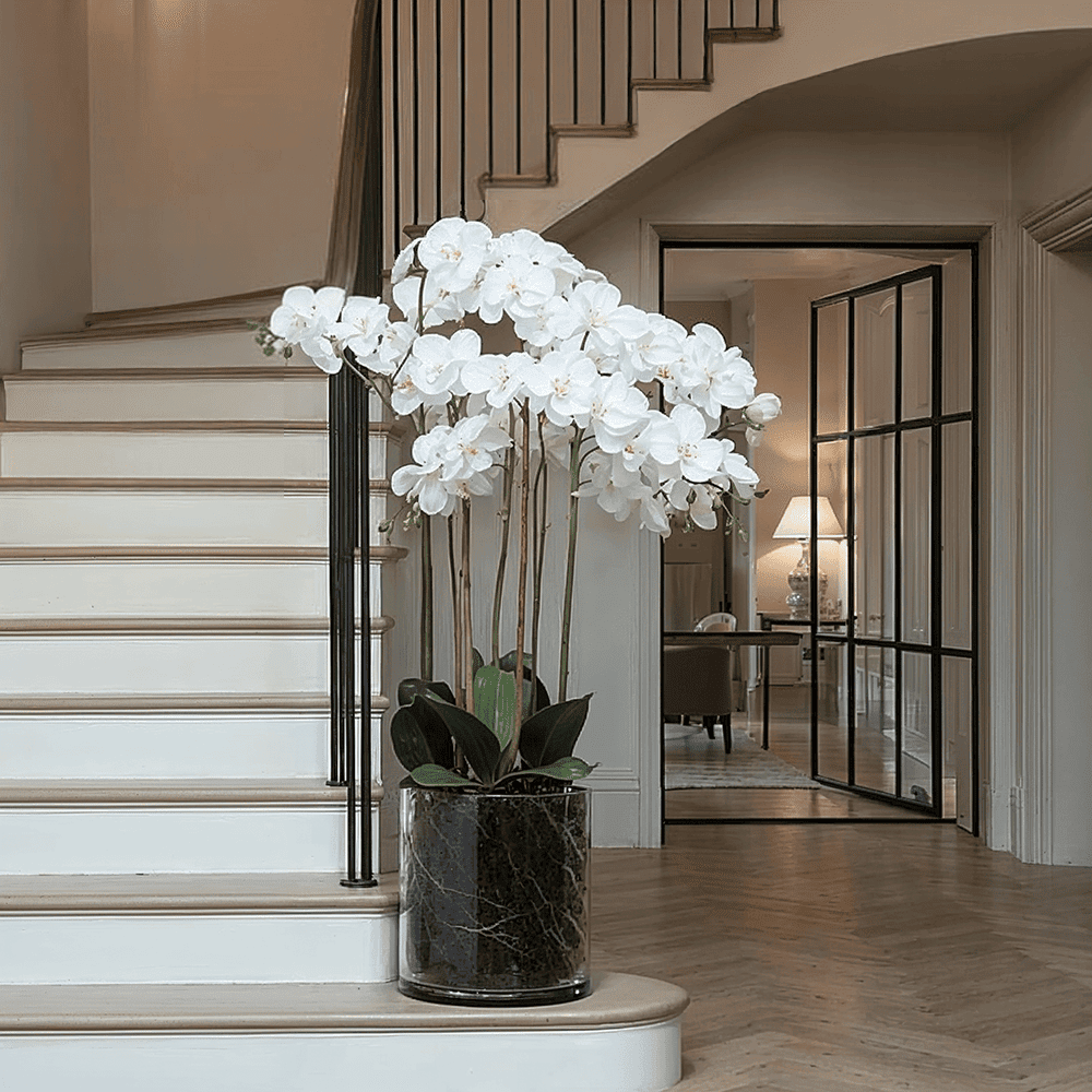 Large White Orchid in Glass Pot
