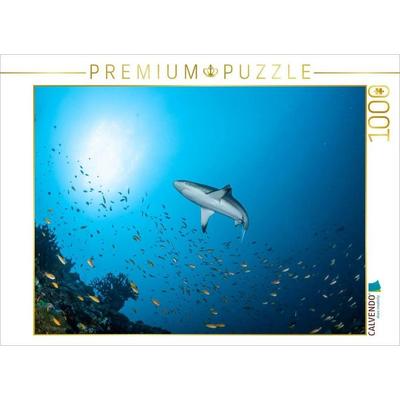 CALVENDO Puzzle Grauer Riffhai | 1000 Teile Lege-Größe 64x48cm Foto-Puzzle für glückliche Stunden
