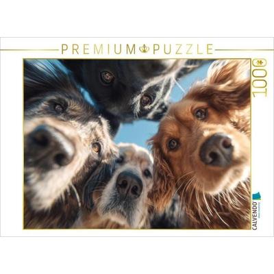 CALVENDO Puzzle Nur ein Blick und du bist verliebt | 1000 Teile Lege-Größe 64x48cm Foto-Puzzle für glückliche Stunden, Game von , Calvendo Puzzle