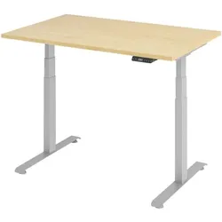 BaseLite Schreibtisch höhenverstellbar (elektrisch) »Base« 120 cm Gestell silbern silber, 120x129.5x80 cm