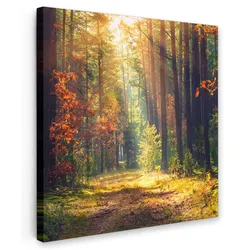 LEINWANDBILD Wald - Herbst - Bäume Deko Groß 90x90 cm