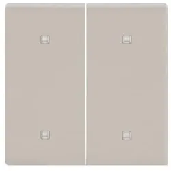 Busch-Jaeger Wippe 2-fach 2570-20-82