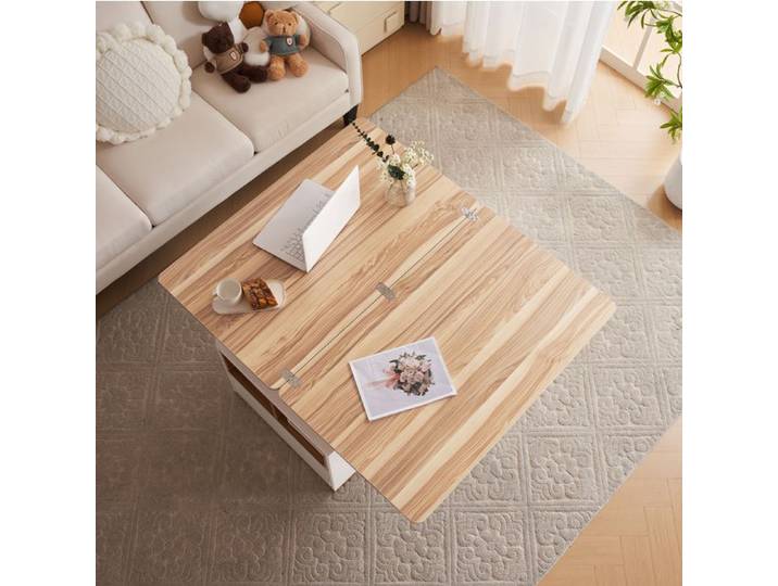 WOVREO Table basse relevable 100x51x47 cm 2-en-1 avec rangement blanc et bois naturel