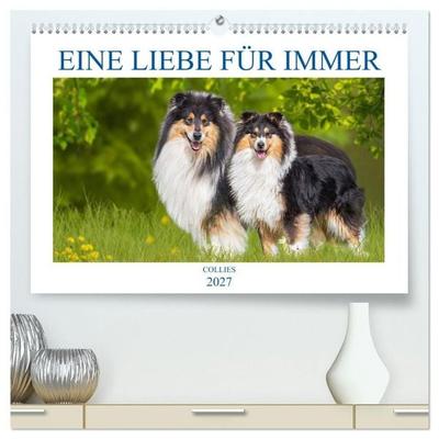 Eine Liebe für immer - Collies (hochwertiger Premium Wandkalender 2027 DIN A2 quer), Kunstdruck in Hochglanz
