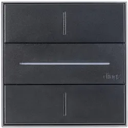 Dingz, Lichtschalter + Storenschalter, «» front schwarz