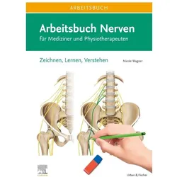 Arbeitsbuch Nerven, Fachbücher von Nicole Wagner