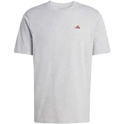 ADIDAS Herren Shirt COLOR ICON GRAFIK, Größe L in Grau Grau