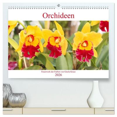 Orchideen Feuerwerk der Farben (hochwertiger Premium Wandkalender 2026 DIN A2 quer), Kunstdruck in Hochglanz