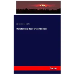 Darstellung des Fürstenbundes, Fachbücher von Johannes von Müller