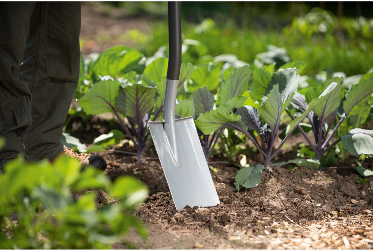 Black & Decker Wolf Garten Spaten ASP-D 123 cm ergonomischer D-Griff gerade