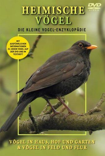 Heimische Vögel - Haus,Hof,Garten, Feld und Flur - Preis vom 11.10.2026 03:10:56 h