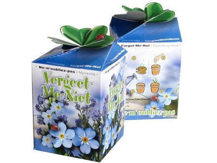 Sluis Garden Greengift Los Doosje\, Vergeet-me-niet