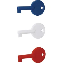 Hager RXE02D Ersatz-Schlüssel 3er Set für Druckknopfmelder