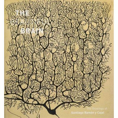 The Beautiful Brain, Gebundene Ausgabe von Javier DeFelipe,Larry Swanson, Abrams & Chronicle Books, 978-1-4197-2227-1