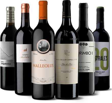 Großartige Ribera del Duero Weine -