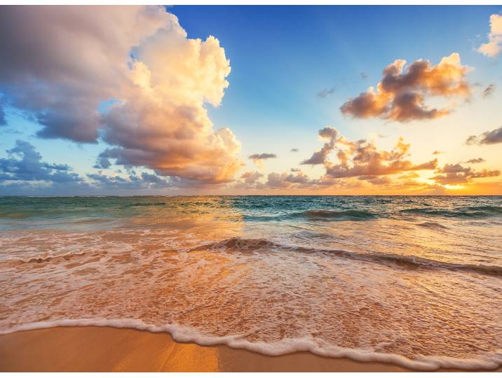 Fototapete PAPERMOON Caribbean Beach , bunt, B:5m L:2,8m, Vlies, Tapeten, Fototapete