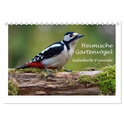 Heimische Gartenvögel - Gefiederte Freunde (Tischkalender 2026 DIN A5 quer), CALVENDO Monatskalender